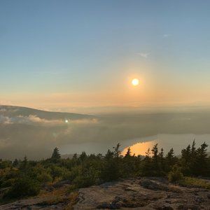 Meet your Posher, Ava